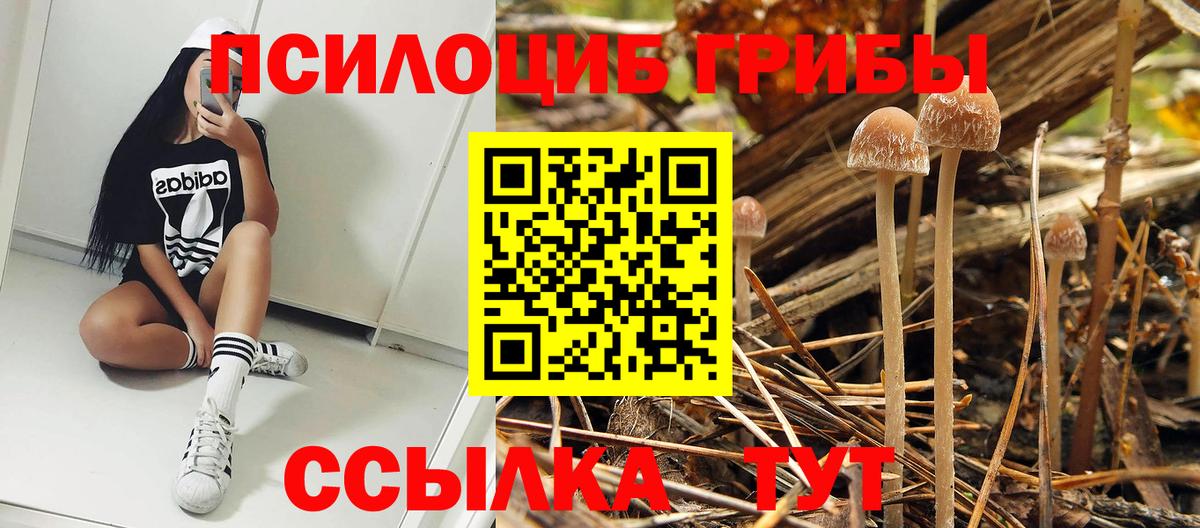Мыски  Псилоцибиновые грибы Magic Shrooms  Вход с VPN  Псилоцибиновые грибы GOLDEN TEACHER 