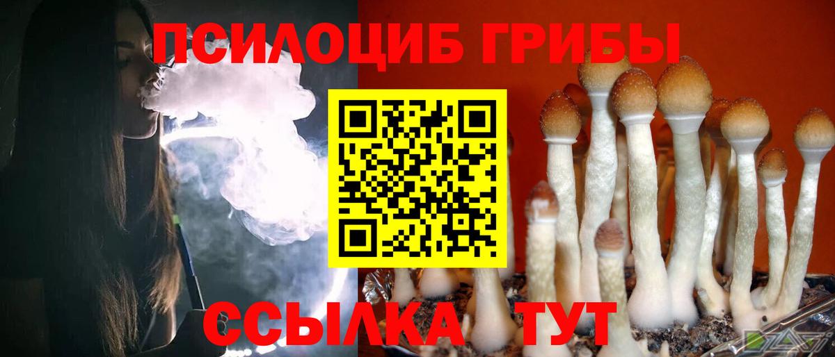 Галлюциногенные грибы мицелий Мыски