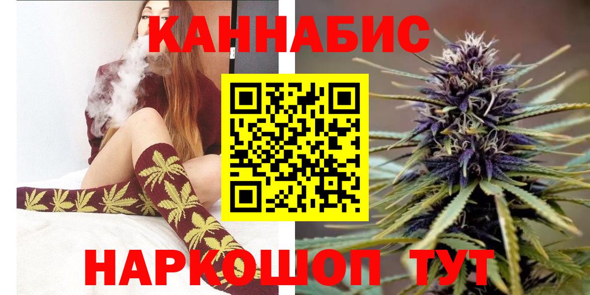 Бошки Шишки план  Канабис план  Каннабис OG Kush  Вход с VPN  Мыски 
